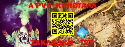 стаф Новодвинск
