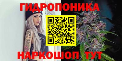 кокс Нарткала